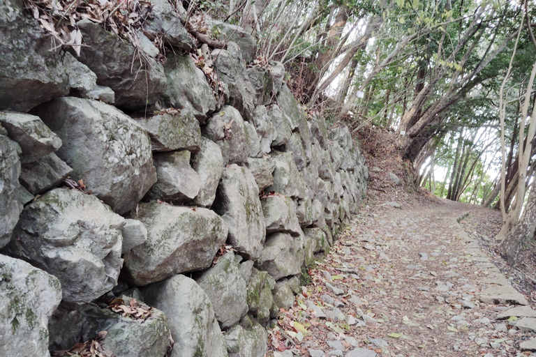 Kintai-Kyo Bridge and Iwakuni Castle with local guide 3h Jan 2025 Iwakuni