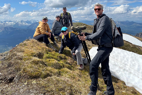 Denali: 5-Hour Guided Wilderness Hiking Tour Denali 4-Hour Hiking Tour