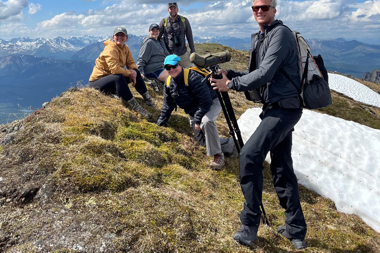Denali: 5-Hour Guided Wilderness Hiking Tour Denali 4-Hour Hiking Tour