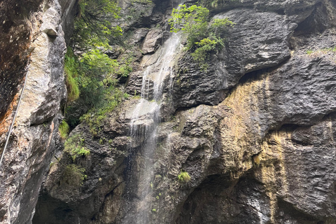 Pilatus, Aareschlucht en St. Beatusgrotten: tour vanuit Bazel