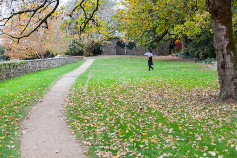 Porto: Santiago de Compostela Tour & Exclusive E-Book