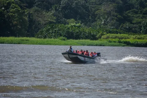 Excursión en lancha motora en el Parque Nacional de Tortuguero **EL MEJOR VENDIDO**