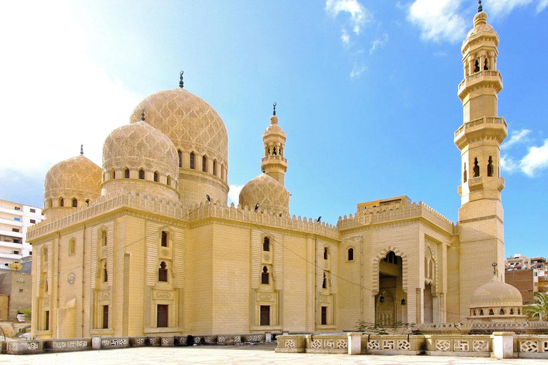 Day tour Visit the top attractions of Alexandria City