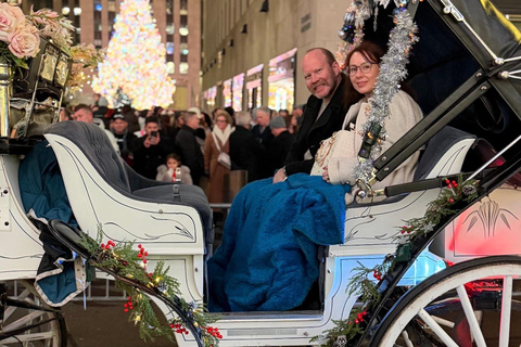 NYC: Central Park Christmas Lights Horse-Drawn Carriage Ride
