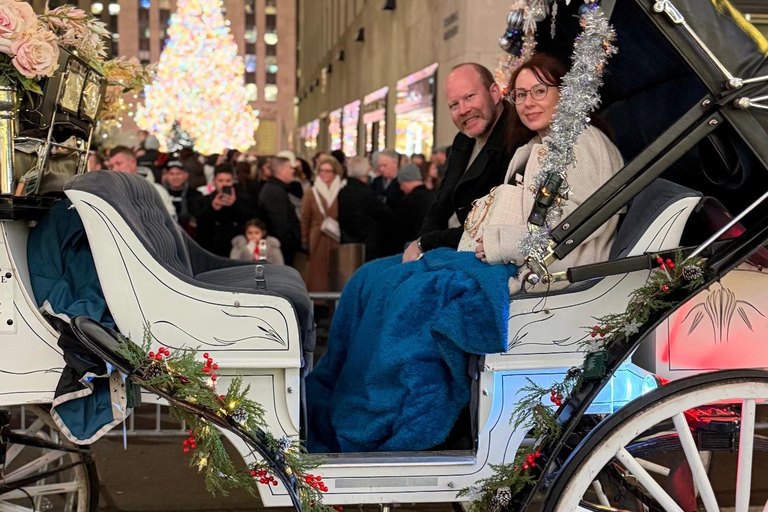 NYC: Central Park Christmas Lights Horse-Drawn Carriage Ride