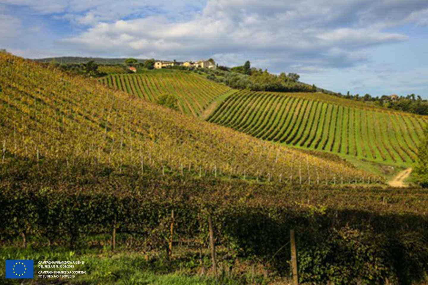 "San Gimignano" Wine Tasting - Palagetto winery