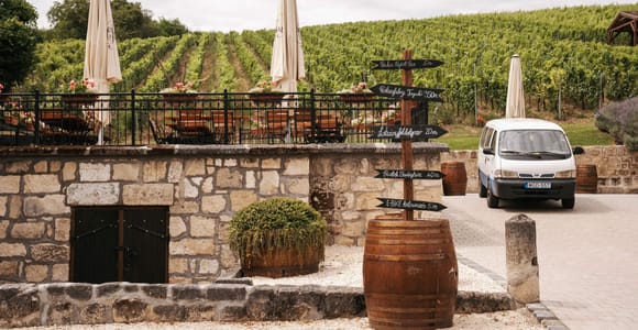 Rókusfalvy Estate: Guided Wine Tasting & Cellar Tour