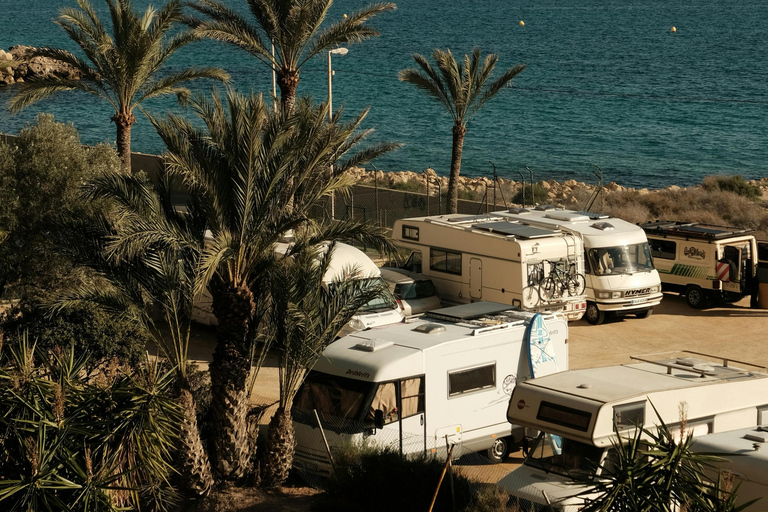 Alicante: Private Guided Tour with Transport