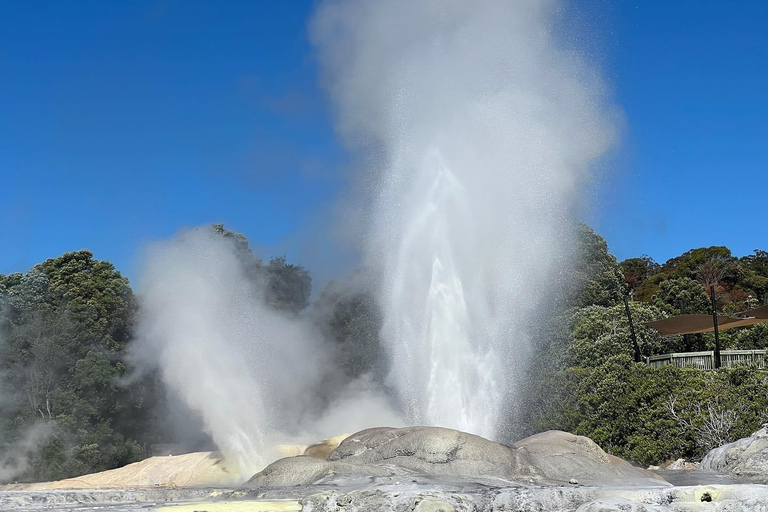 Auckland: tour a Te Puia y las aguas termales de Wai Ariki