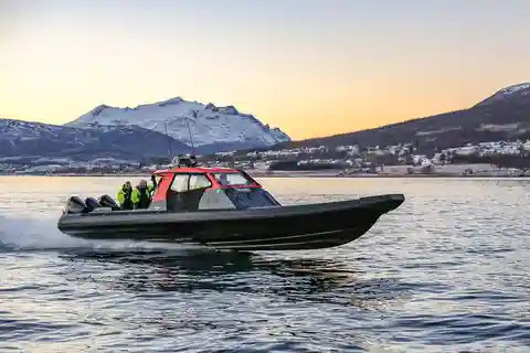 Tromsø: Safari privado con ballenas en semirrígida