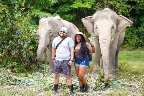 Phuket: Spaziergang und Fütterung von ethischen Elefanten im Naturpark