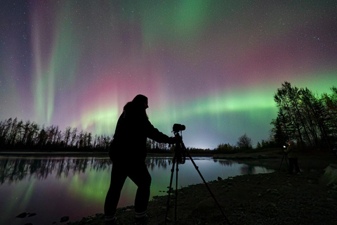 Anchorage: Aurora Borealis Northern Lights Photography Tour