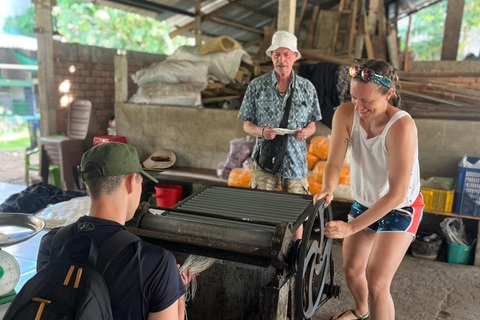 Da cidade de Ho Chi Minh: Viagem de 1 dia a Can Tho com mercado flutuante