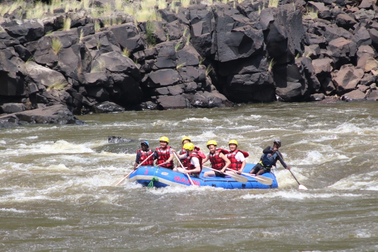 Río Zambezi: experiencia de rafting en aguas bravas de día completoOpción de balsa privada