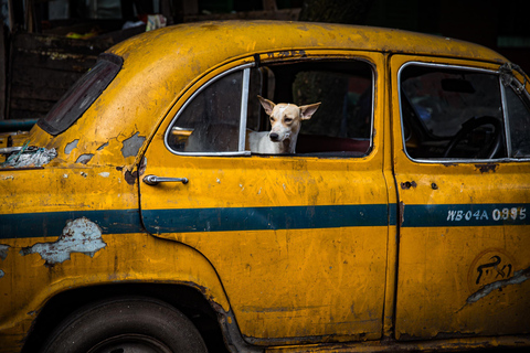 Kolkata: Culture Kaleidoscope TourCalcutta: Culture Kaleidoscope Tour