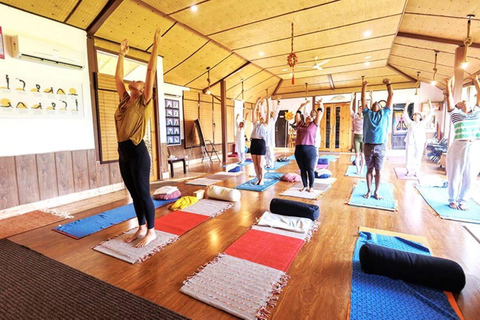 Queralá: Pacote de rejuvenescimento e desestressamento KayakalpaKerala: Pacote de rejuvenescimento e desestressamento Kayakalpa