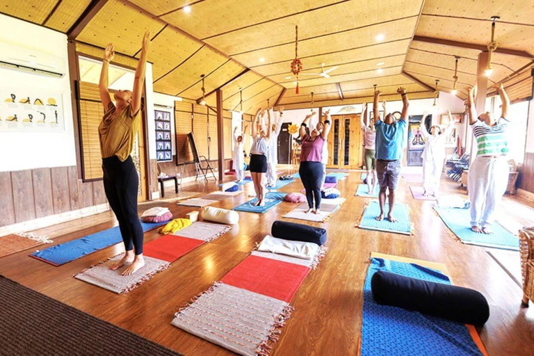 Queralá: Pacote de rejuvenescimento e desestressamento KayakalpaKerala: Pacote de rejuvenescimento e desestressamento Kayakalpa