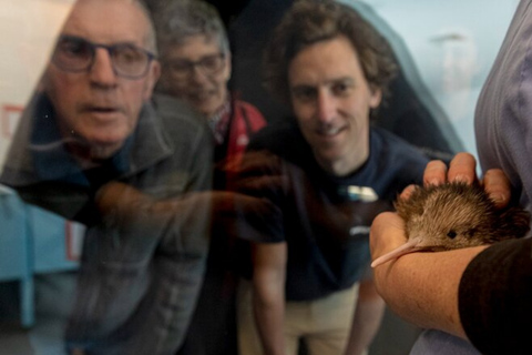 Private Day Tour - Rotorua, Kiwi Hatchery & Māori Culture
