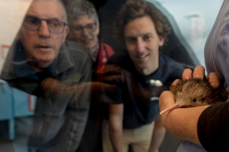 Private Day Tour - Rotorua, Kiwi Hatchery & Māori Culture