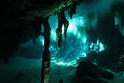 Playa del Carmen: Mind-Blowing Diving at Cenote Dos Ojos