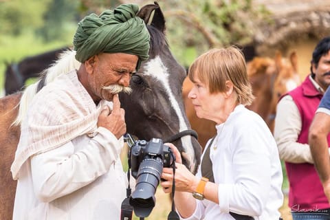 Jaipur: Marwari Horse Riding and Polo Experience with Hi-Tea