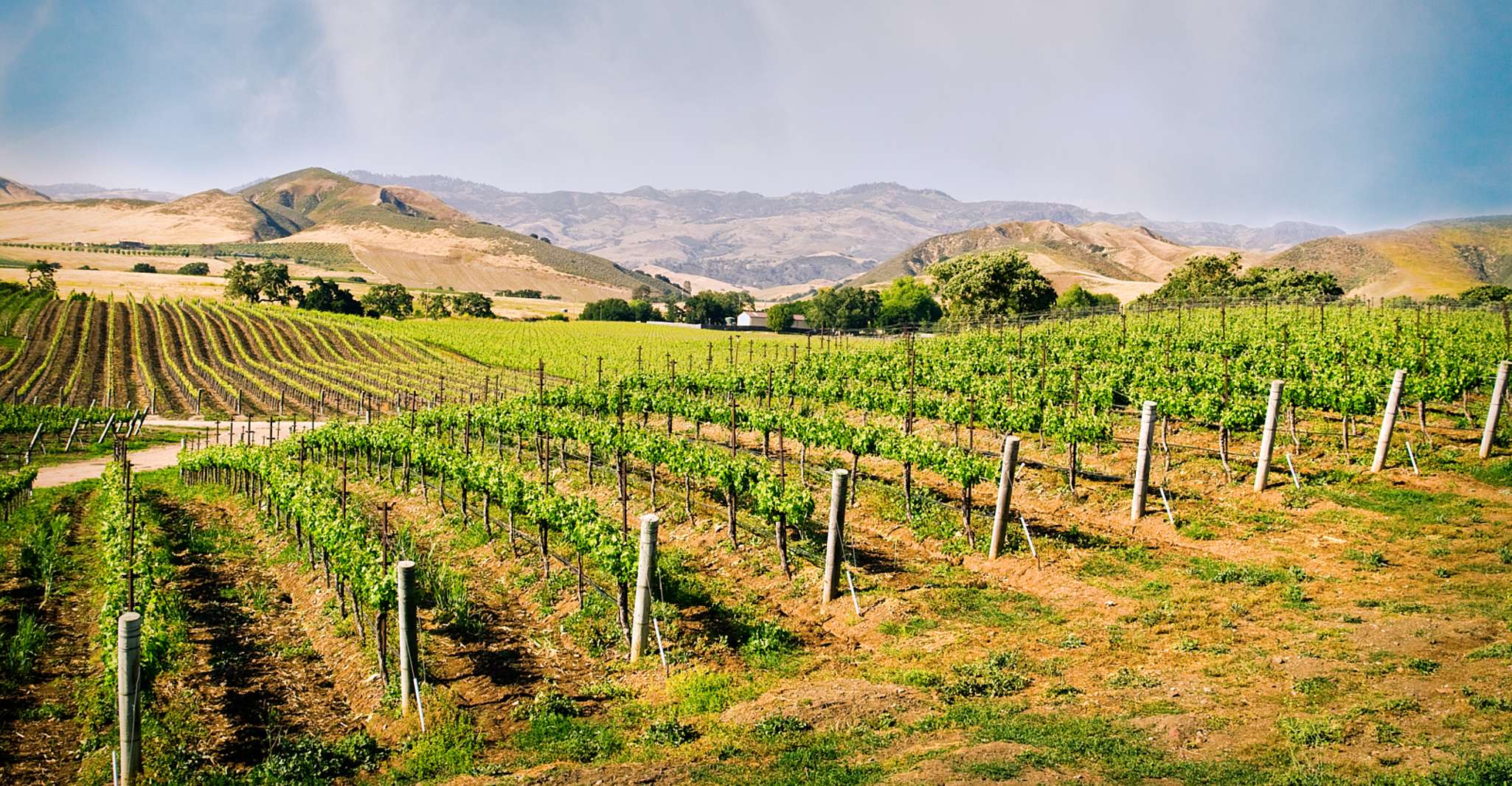 Santa Barbara, Wine Country Tour con pranzo - Hizvo