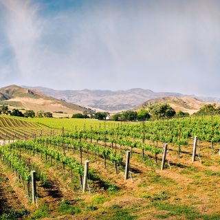 Santa Barbara: Wine Country Tour with Lunch