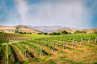 Santa Bárbara, Tour por el Vino con Almuerzo - Hizvo