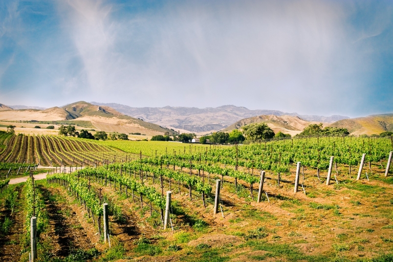 Santa Barbara : visite de la région viticole avec déjeunerVisite de la région viticole