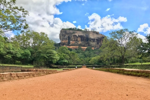 Colombo: Excursión a Sigiriya y Dambulla seguida de un Safari