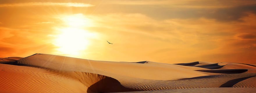 6 jours de sensations fortes : Aventure en jeep au cœur du désert