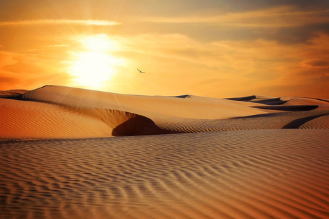 6 dias de emoções: Aventura de jipe no coração do deserto