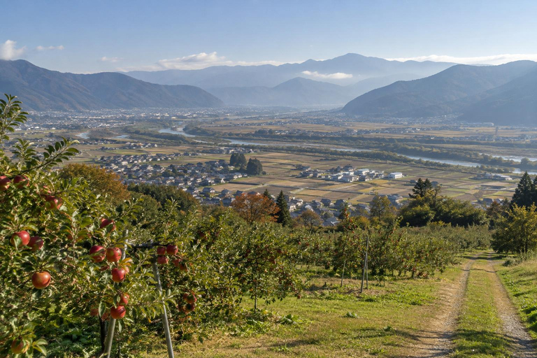From Tokyo: Marukome Miso Factory & Nagano Farm Lunch Day Trip