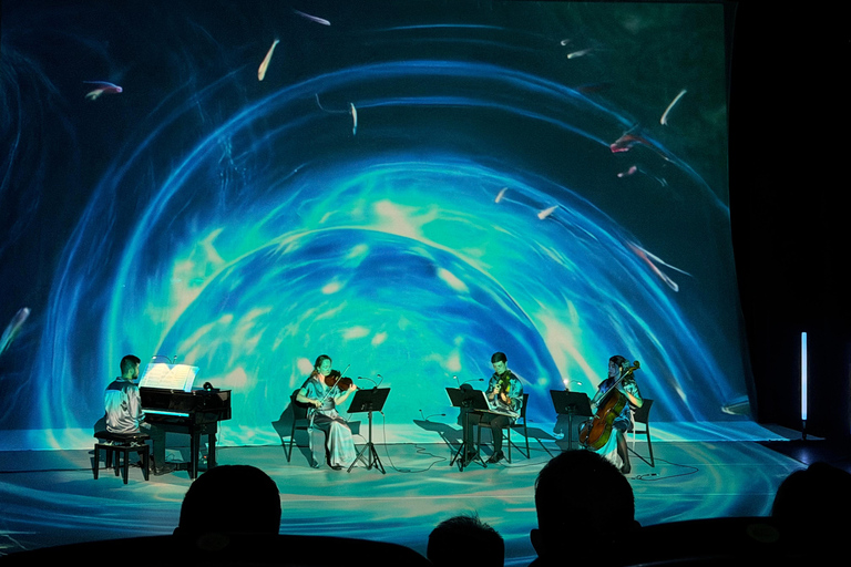 ✨Immersive Light & Music Show in Bilbao by Under The Tree