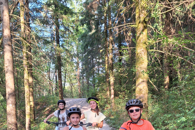 Excursion en E-bike dans les gorges de la Grande Soča et la forêt aquatique de Šunik