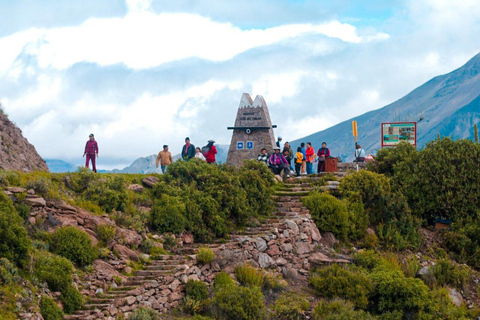 AREQUIPA: COLCA CANYON 2 GIORNI E NOTTE