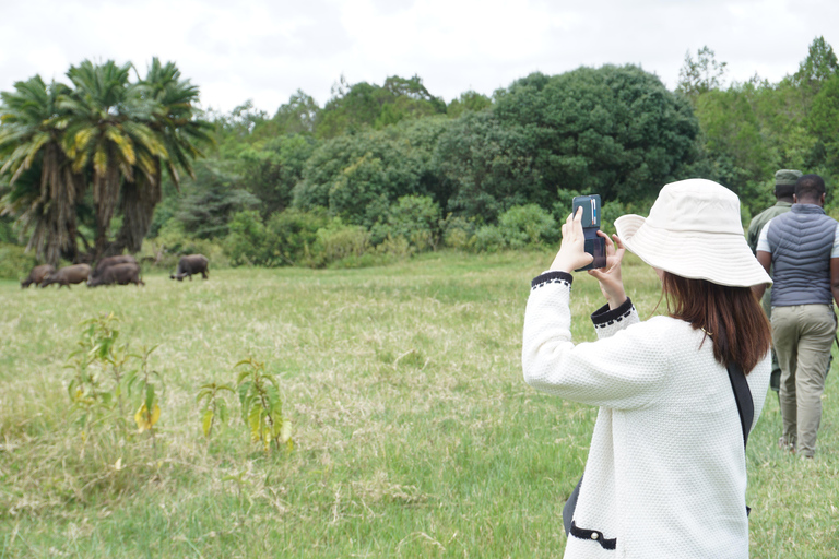 From Moshi: Arusha National Park Safari with Walking Tour