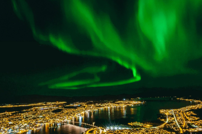 Tromsø-Øksfjord-Tromsø Whale Safari, Fjords, Northern Lights