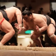 Fukuoka: Sumo Tournament Chair S-Seats & ExpertGuide