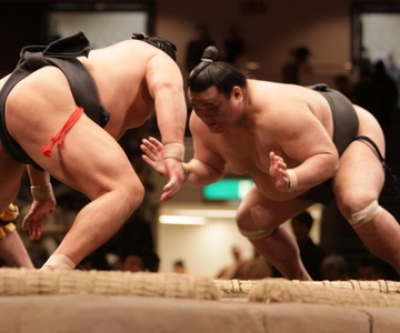 名古屋:大相撲名古屋場所 A指定席＆エキスパートガイド