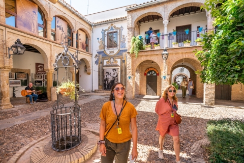 Córdoba: rondleiding joodse wijk en MezquitaPrivétour in het Frans