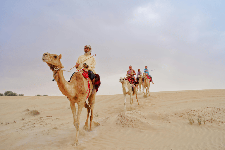 Abu Dhabi: Quad Bike ATV Safari, Camel Ride and Sandboarding