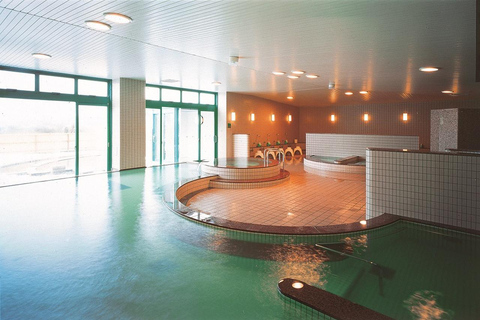 Nagoya: Washigatake Ski Resort Day Trip with Lift Ticket Nagoya: Include bus fare & lift ticket