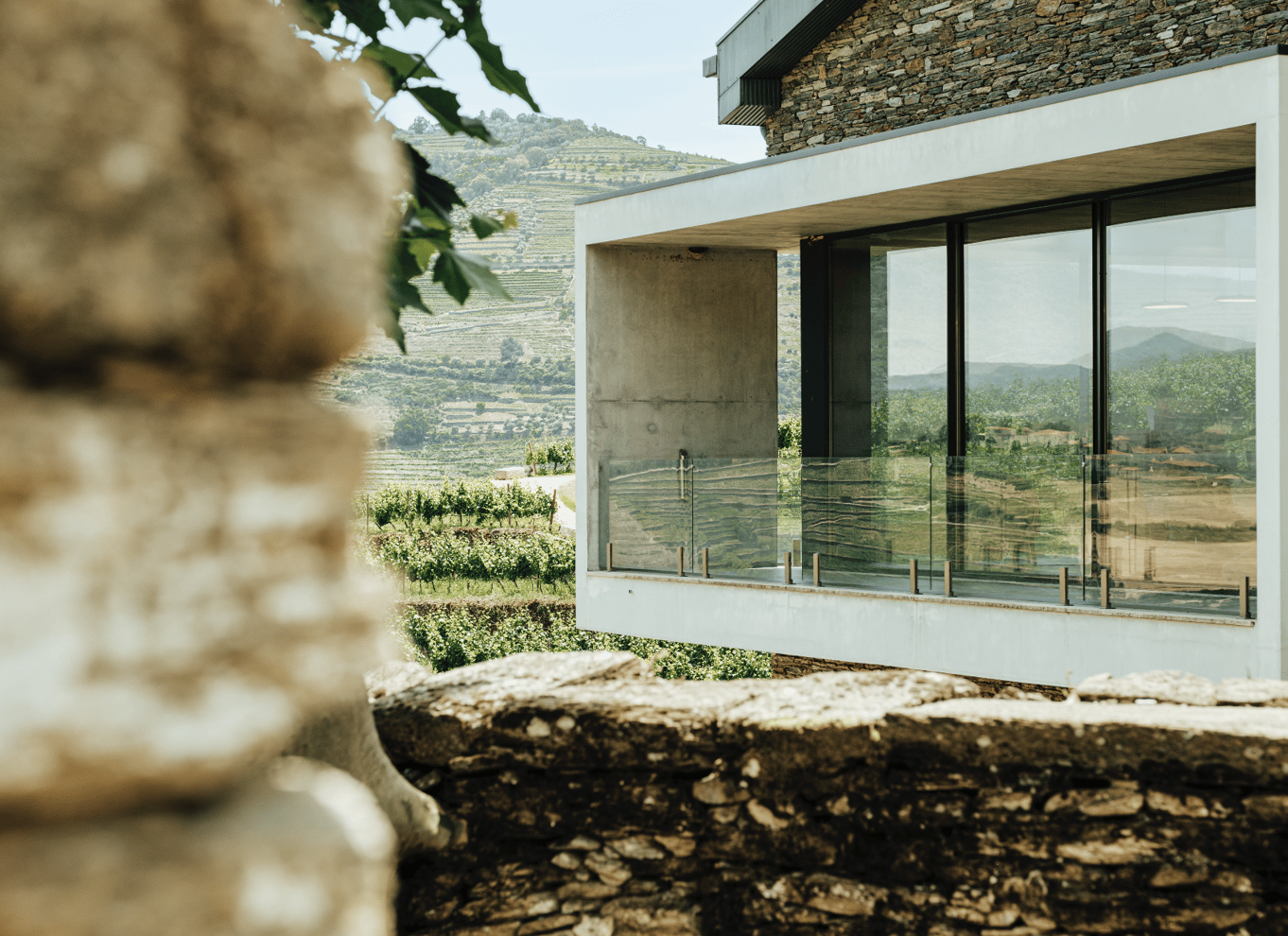 Pinhão: Quinta da Formigosa vingårdstur og vinprøvesmagning