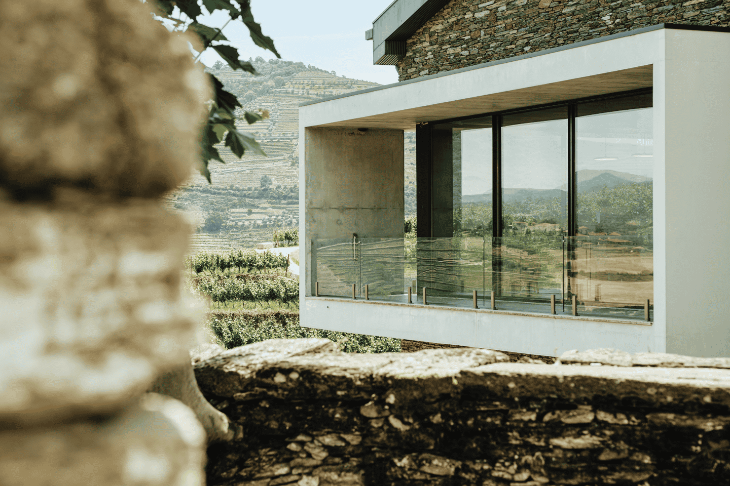 Pinhão : Visite du domaine Quinta da Formigosa et dégustation de vins