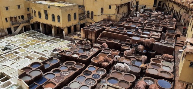 Visit Guided walking tour in Old medina fez in Fez
