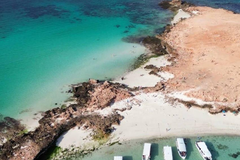 Scuba Diving in Muscat