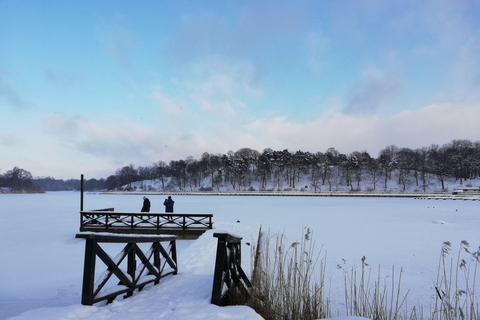 Stockholm : Traditions et dégustations de Noël en petit groupe