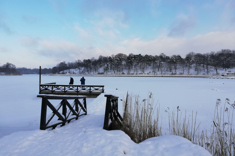 Stockholm : Traditions et dégustations de Noël en petit groupe