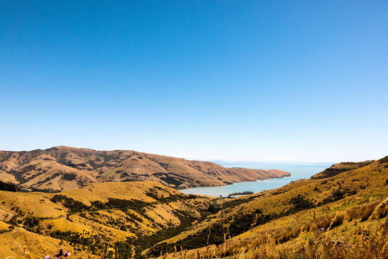 Private Photoshoot in Lake Tekapo and Surrounds Private photoshoot in Lake Tekapo and surrounds